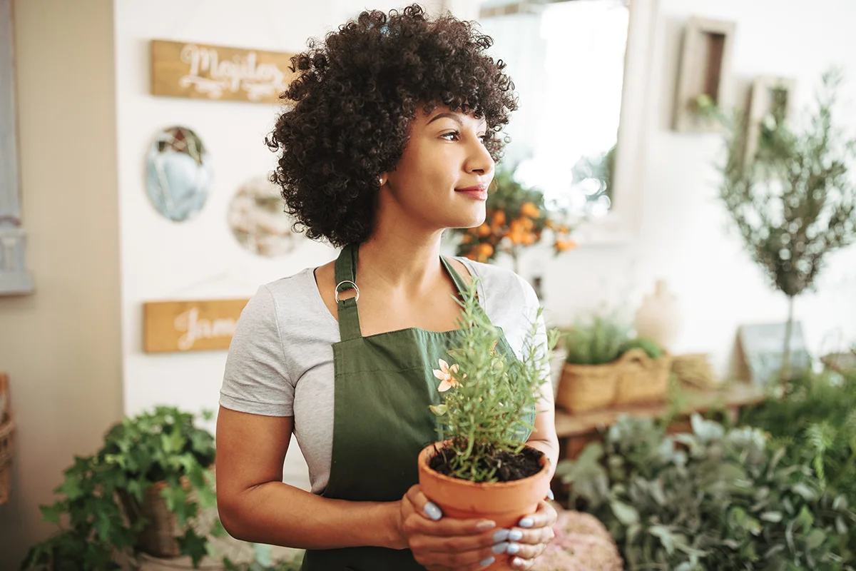 Como Criar um Jardim de Ervas Medicinais em Casa: 7 Dicas Essenciais Como Criar um Jardim de Ervas Medicinais em Casa: 7 Dicas Essenciais