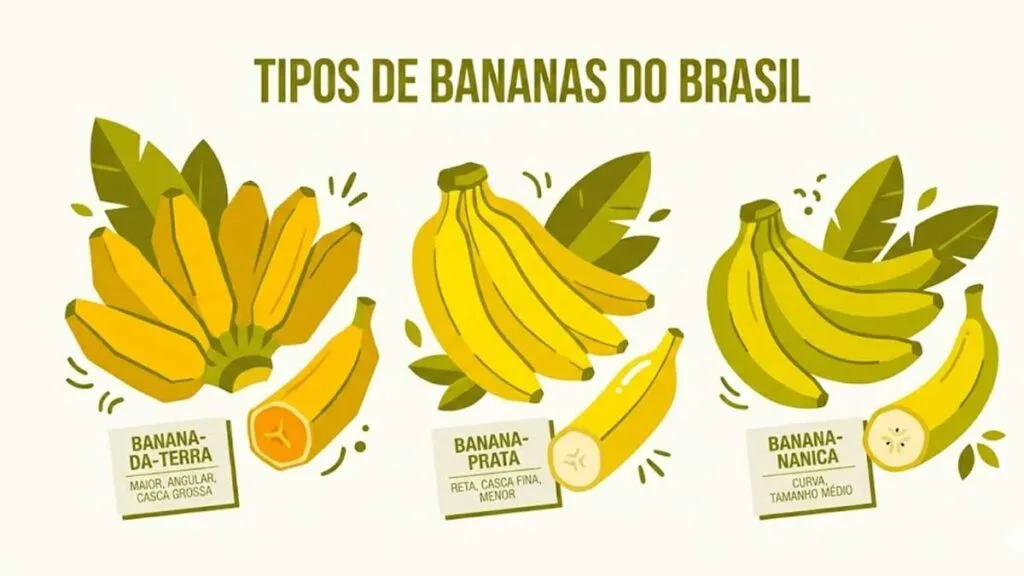 Tipos de bananas mais comuns no Brasil